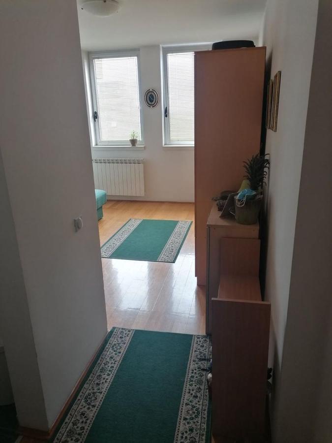 Apartmán Bulevar Stan Na Dan Novi Sad Exteriér fotografie